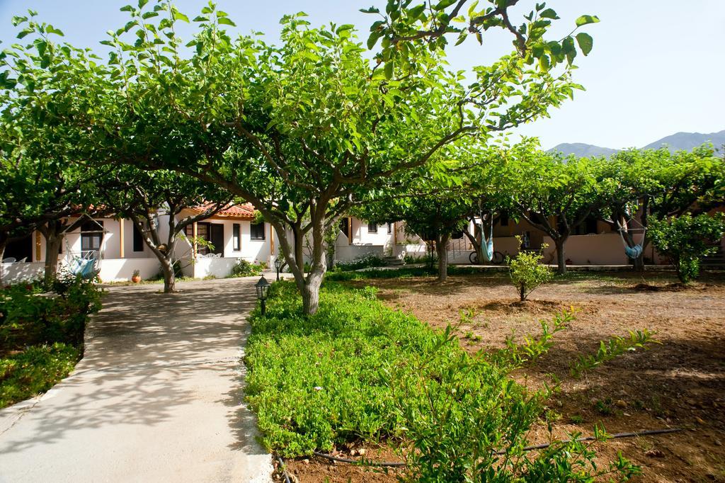 Dolphin Apartments Frangocastelo Exterior photo